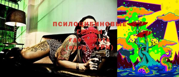 стафф Долгопрудный