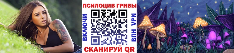 закладки  Казань  Псилоцибиновые грибы мухоморы 