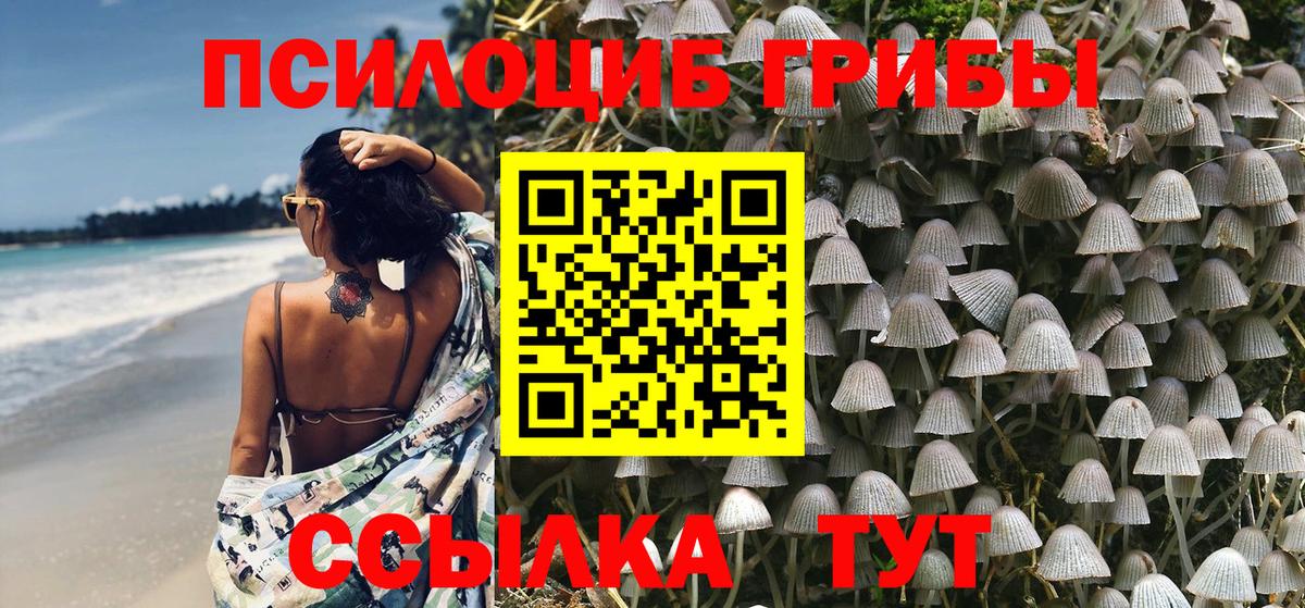 Галлюциногенные грибы Magic Shrooms Казань