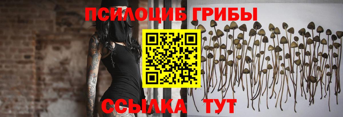 Псилоцибиновые грибы мухоморы Казань