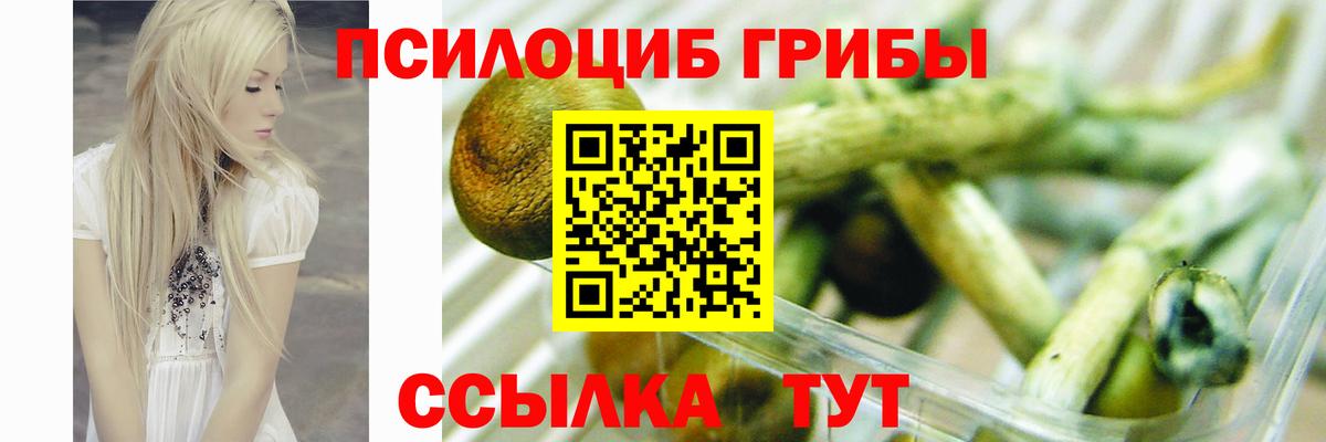 Псилоцибиновые грибы GOLDEN TEACHER  Казань  Галлюциногенные грибы GOLDEN TEACHER 